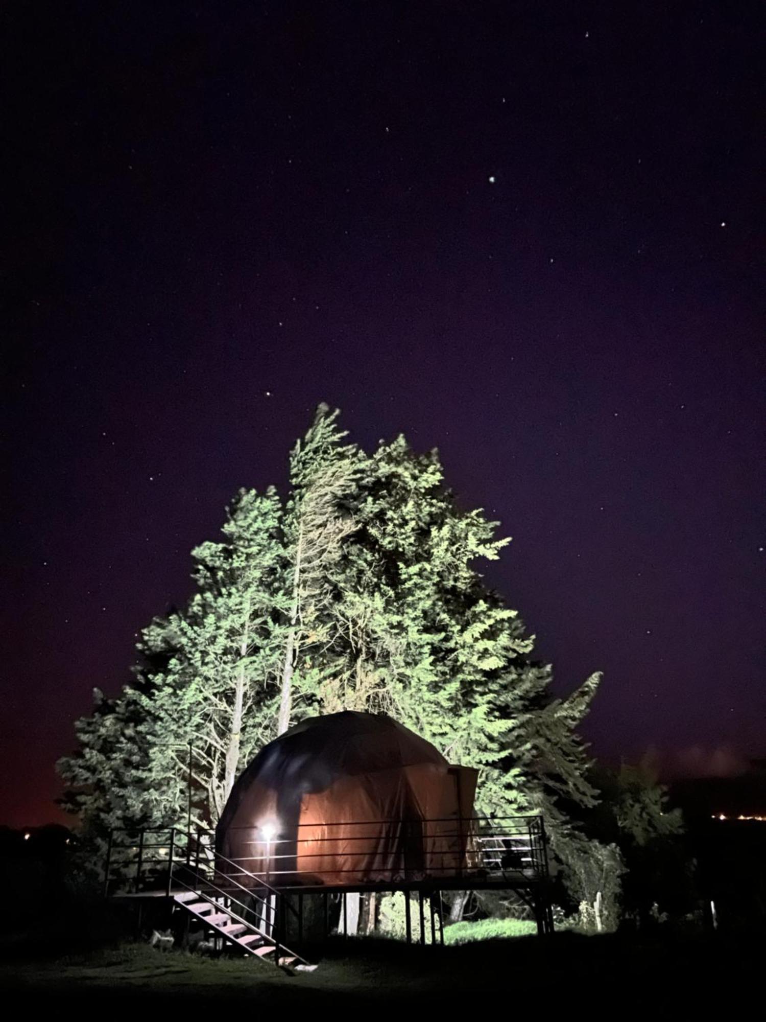 Green Noise Glamping Fraijanes Zewnętrze zdjęcie